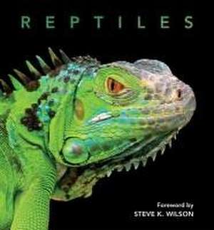 Reptiles de Steve Wilson