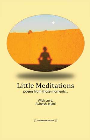 Little Meditations de Avinash Jalani