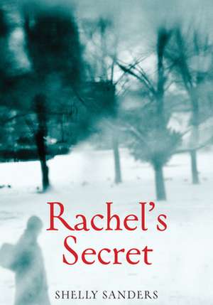 Rachel's Secret de Shelly Sanders