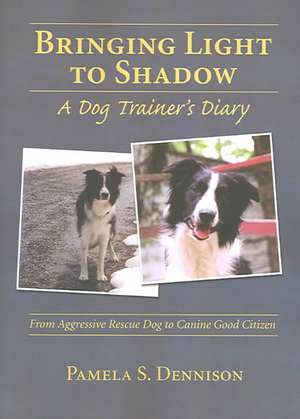Dennison, P: Bringing Light to Shadow