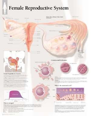 Female Reproductive System de Scientific Publishing