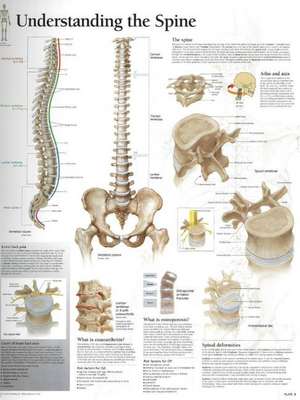 Understanding the Spine Laminated Poster de Scientific Publishing