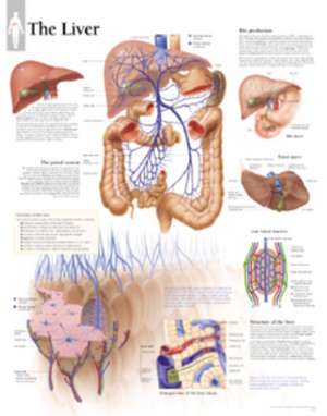 Liver de Scientific Publishing