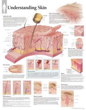 Understanding Skin Chart: Wall Chart de Scientific Publishing