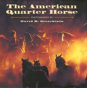 The American Quarter Horse de David R. Stoecklein