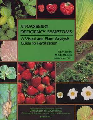 Strawberry Deficiency Symptoms: A Visual and Plant Analysis Guide to Fertilization de Albert Ulrich