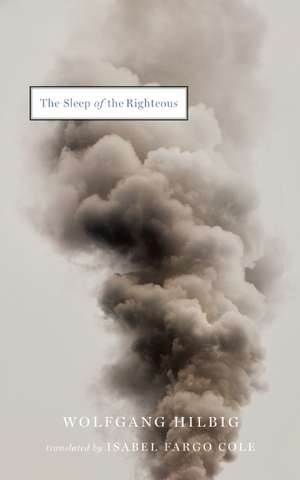 The Sleep of the Righteous de Wolfgang Hilbig