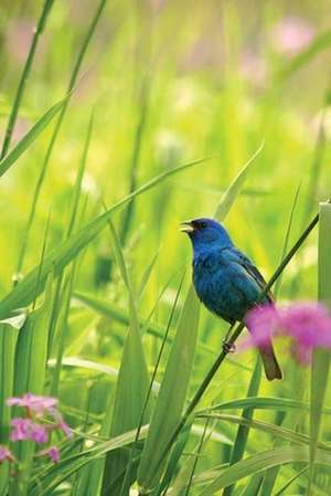 Indigo Bunting Blank Journal de Ben Sosniecki