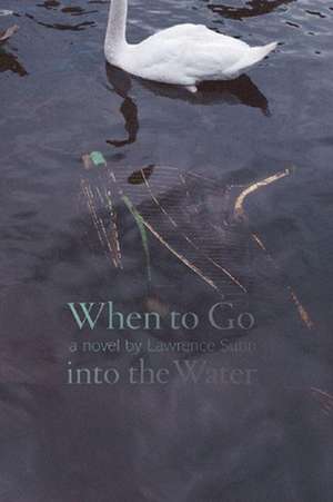 When to Go Into the Water: Stories de Lawrence Sutin