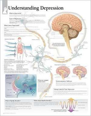 Understanding Depression Chart: Wall Chart de various