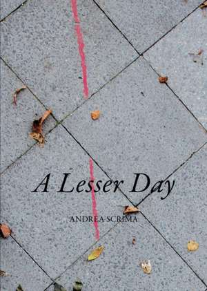 A Lesser Day de Andrea Scrima