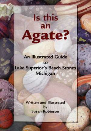 Is This an Agate?: An Illustrated Guide to Lake Superior's Beach Stones Michigan de Susan Robinson