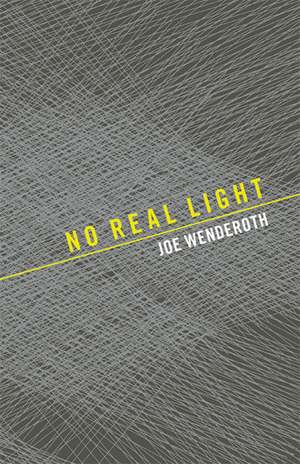 No Real Light de Joe Wenderoth