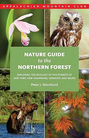 Nature Guide to the Northern Forest: Exploring the Ecology of the Forests of New York, New Hampshire, Vermont, and Maine de Peter J. Marchand