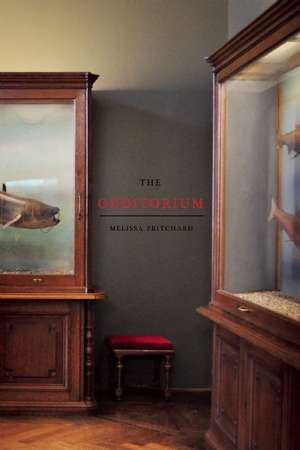 The Odditorium: Stories de Melissa Pritchard