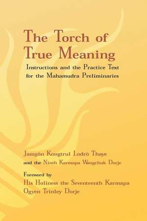 Torch of True Meaning: Instructions and the Practice for the Mahamudra Preliminaries de Jamgon Kongtrul Lodro Thaye