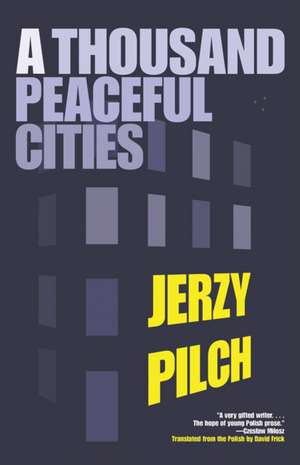 A Thousand Peaceful Cities de Jerzy Pilch