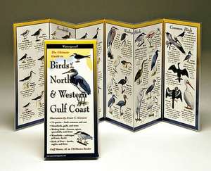 Birds of the Northern & Western Gulf Coast de Ernest C. Simmons