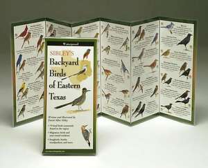 Sibley's Backyard Birds of Eastern Texas de David Sibley