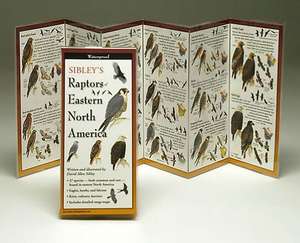 Sibley's Raptors of Eastern N.A.: The Key to Creating Your Reality de David Sibley