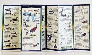 Sibley's Waterbirds of the Great Lakes de David Sibley