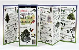 Sibley's Trees of Trails and Forests of the Southeast: The Key to Creating Your Reality de David Sibley