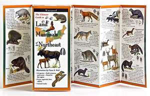 Land Mammals of the Northeast de Fiona A. Reid