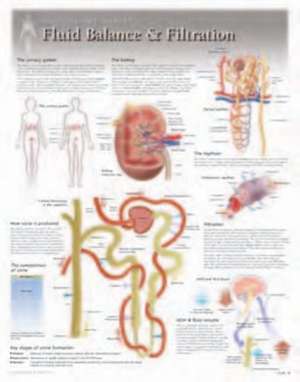 Fluid Balance & Filtration Wall Chart