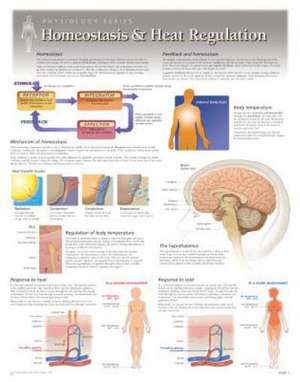 Nutrition & Heart Regulation Wall Chart: 8281 de Scientific Publishing