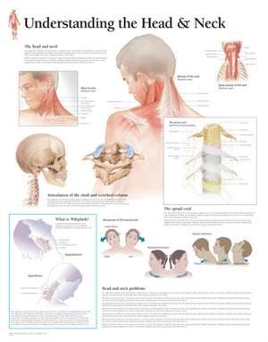 Understanding the Head & Neck Wall Chart: 8650 de Scientific Publishing