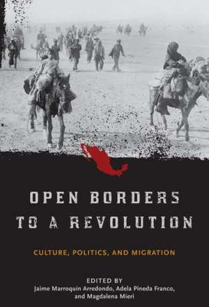 Open Borders to a Revolution: Culture, Politics, and Migration de Jaime Marroquin Arredondo