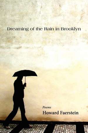 Dreaming of the Rain in Brooklyn de Howard Faerstein