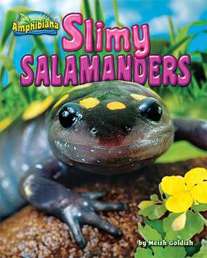 Slimy Salamanders de Meish Goldish