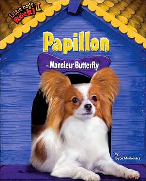 Papillon: Monsieur Butterfly de Joyce L. Markovics