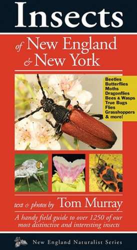 Insects of New England & New York de Tom Murray