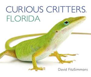 Curious Critters Florida de David FitzSimmons