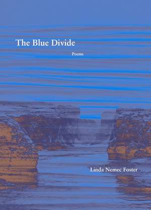 The Blue Divide: Poems de Linda Nemec Foster