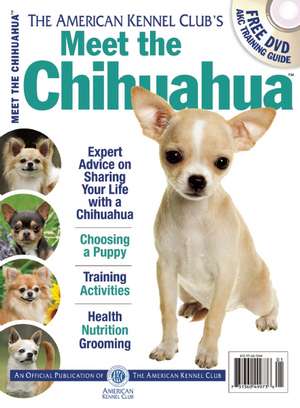 Meet the Chihuahua de American Kennel Club