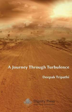 A Journey Through Turbulence de Deepak Tripathi