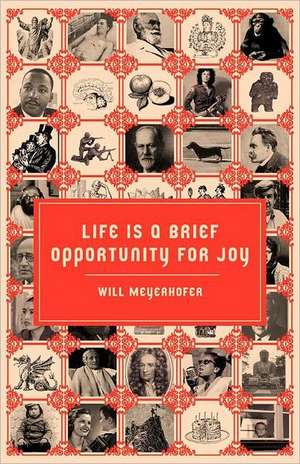 Life Is a Brief Opportunity for Joy de Will Meyerhofer