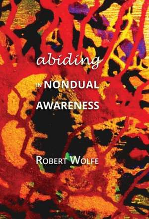 Abiding in Nondual Awareness de Robert Wolfe