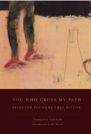 You Who Cross My Path de Erez Bitton