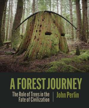 A Forest Journey de John Perlin