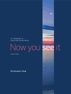 Now You See It: An Introduction to Visual Data Sensemaking de Stephen Few