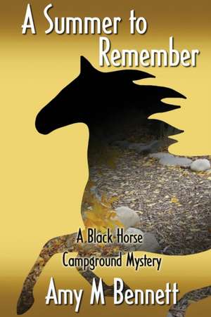A Summer to Remember de Amy M. Bennett