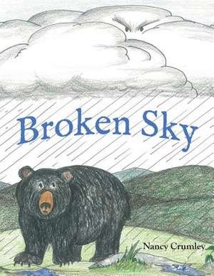 Broken Sky de Nancy Crumley