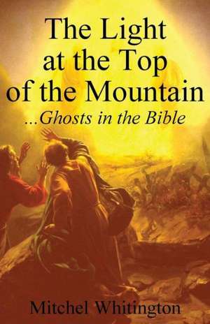 The Light at the Top of the Mountain: Ghosts in the Bible de Mitchel Whitington