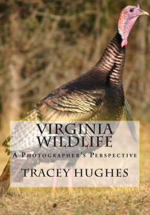 Virginia Wildlife: A Photographer's Perspective