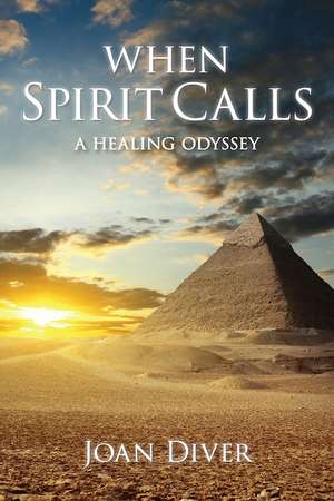 When Spirit Calls: A Story of Awakening, Healing and Hope de Joan Diver