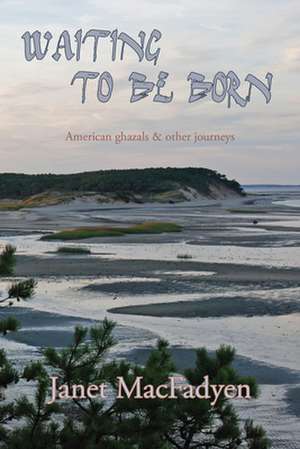 Waiting to Be Born de Janet Macfadyen